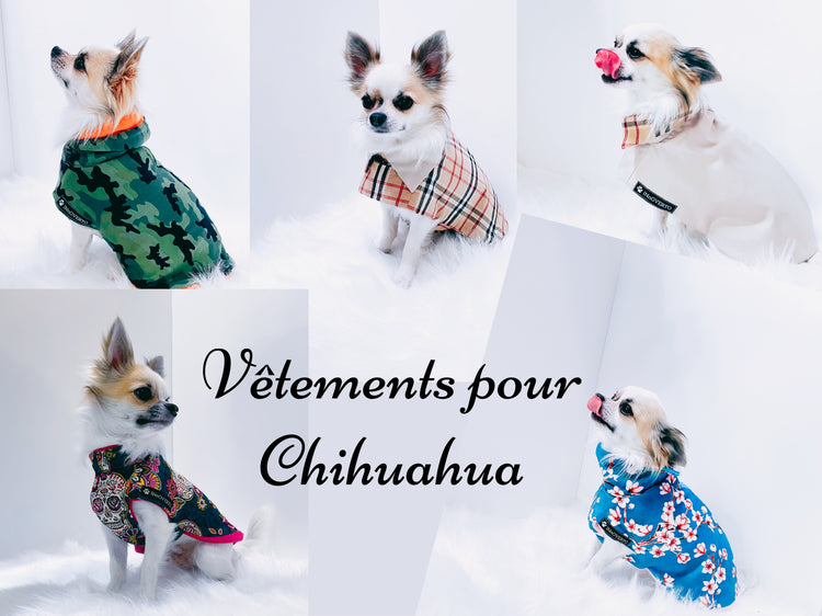 Manteaux Chihuahua & autres races