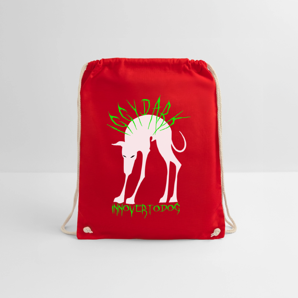 Sac de sport léger - rouge