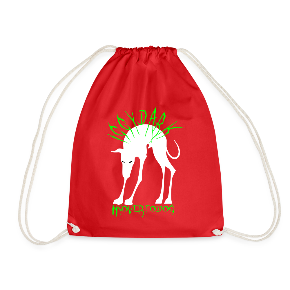 Sac de sport léger - rouge