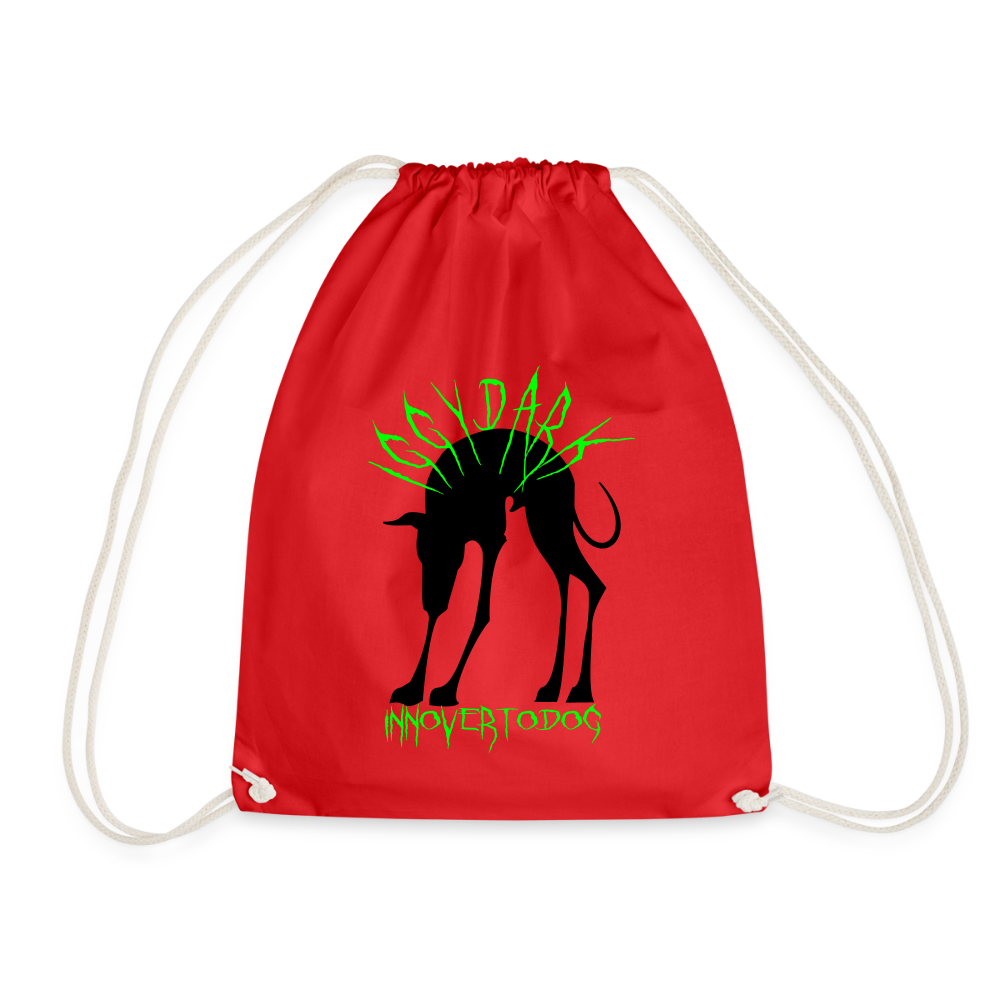 Sac de sport léger - rouge