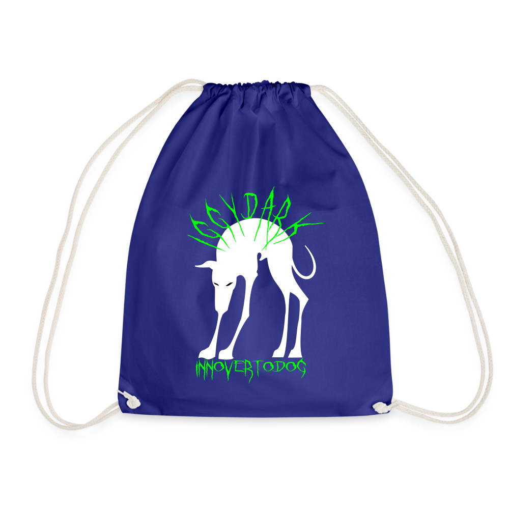 Sac de sport léger - bleu roi