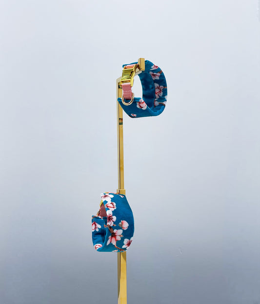 Collier martingale petit lévrier italien innoverto-dog - martingale lévrier innoverto-dog