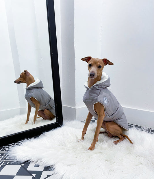 Doudoune petit lévrier italien innoverto.dog