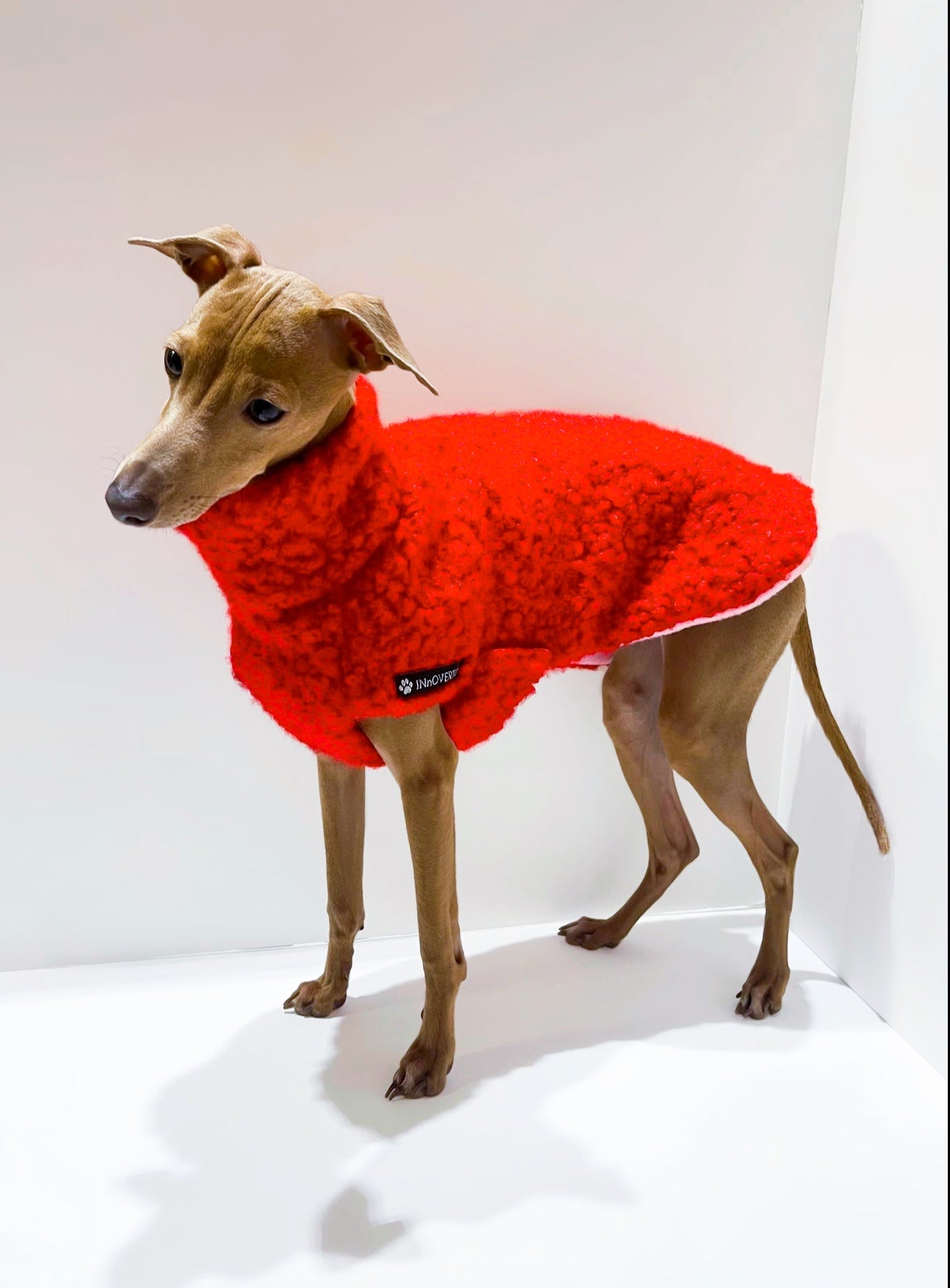 Manteau PLI avec velcro innoverto.dog