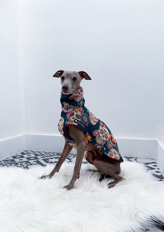 Roméo assis, portant le manteau INnOVERTO Dog en jacquard à motifs de crânes mexicains multicolores.