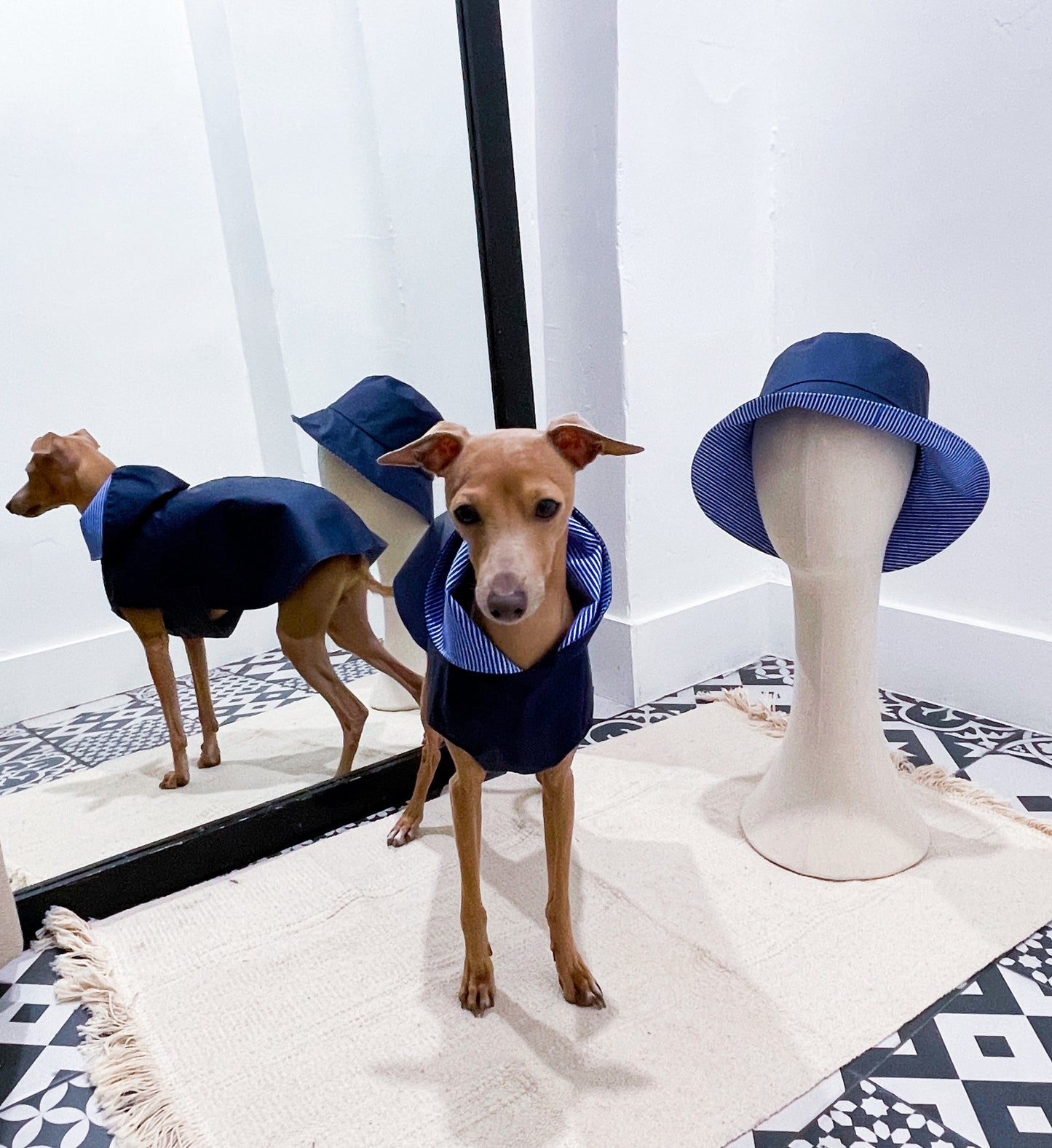 Imperméable petit lévrier italien innovertodog & chapeau assorti