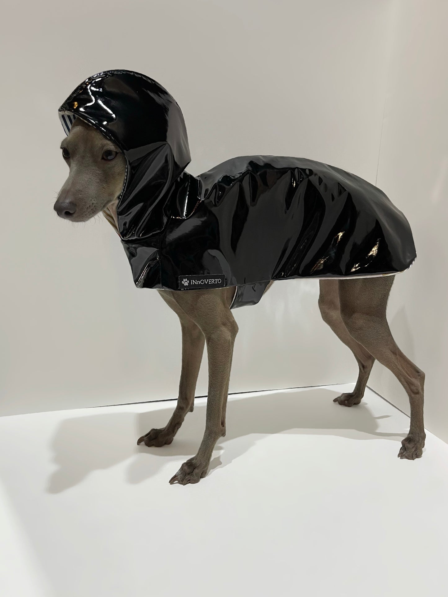 Imperméable lévrier