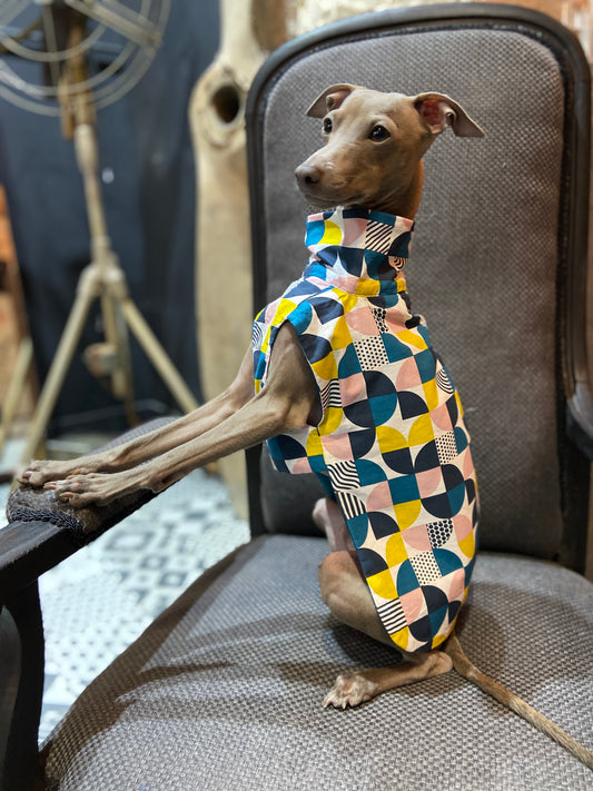 coupe-vent manteau lévrier réversible