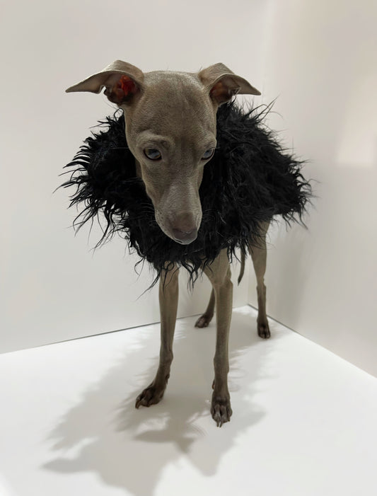 Manteau en fourrure lévrier innoverto.dog