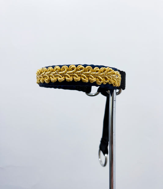 collier chiot innoverto.dog