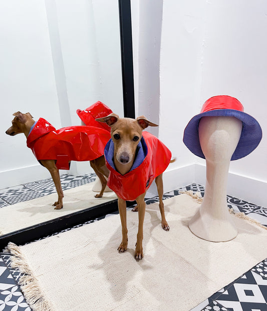 Chapeau assorti à l'Imperméable lévrier