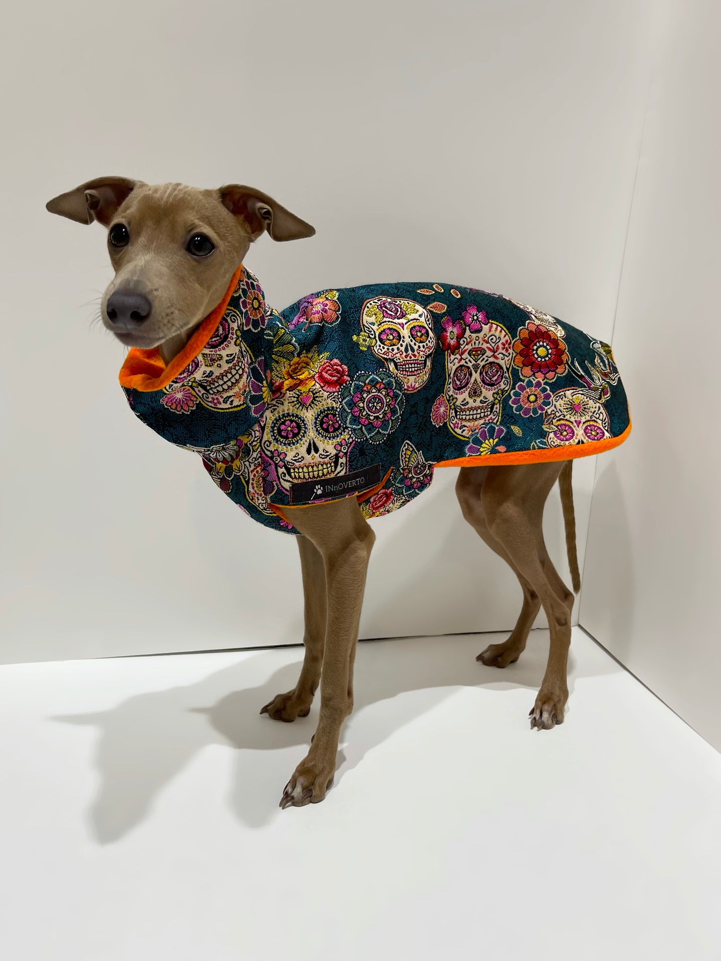 Pull manteau petit lévrier italien crânes mexicains