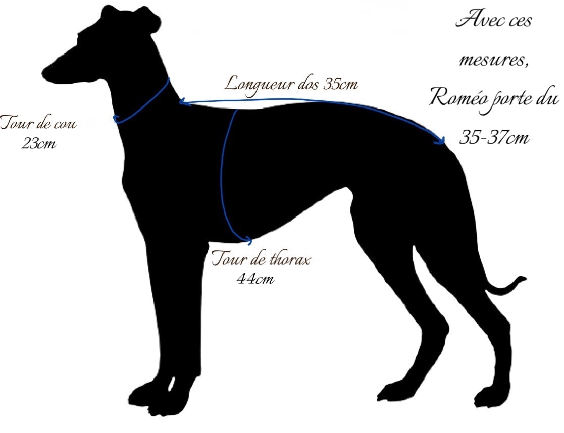 pull manteau vêtements lévrier