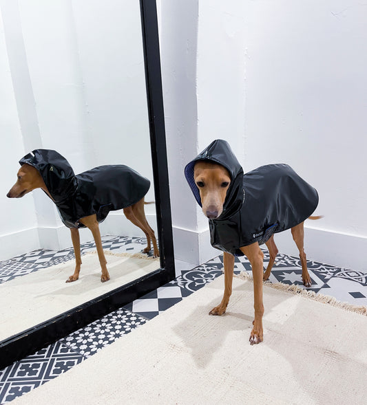 Imperméable lévrier innoverto.dog