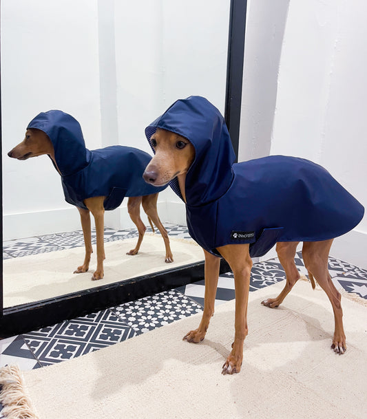 Imperméable petit lévrier italien innovertodog