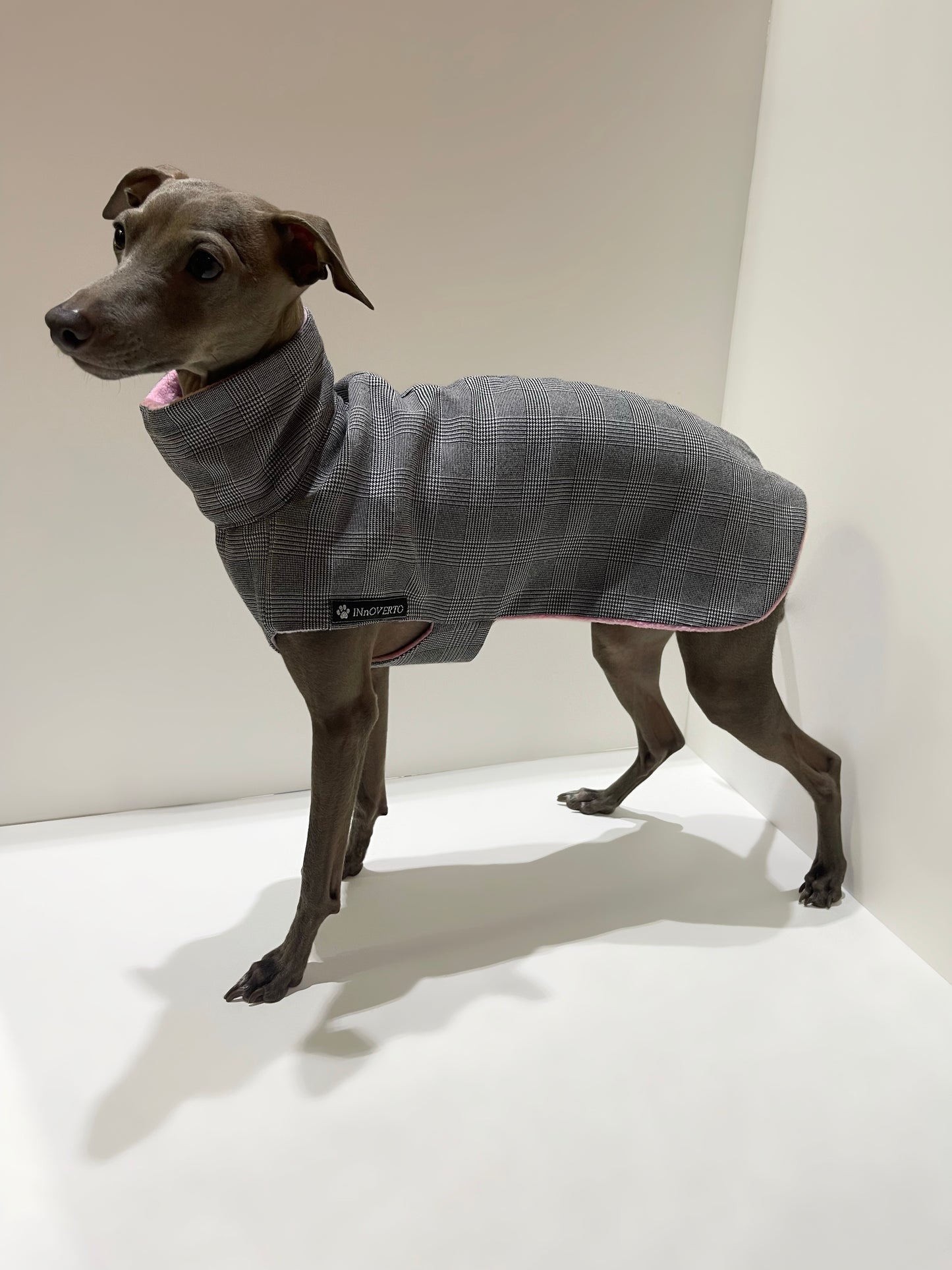 manteau petit lévrier italien innoverto.dog