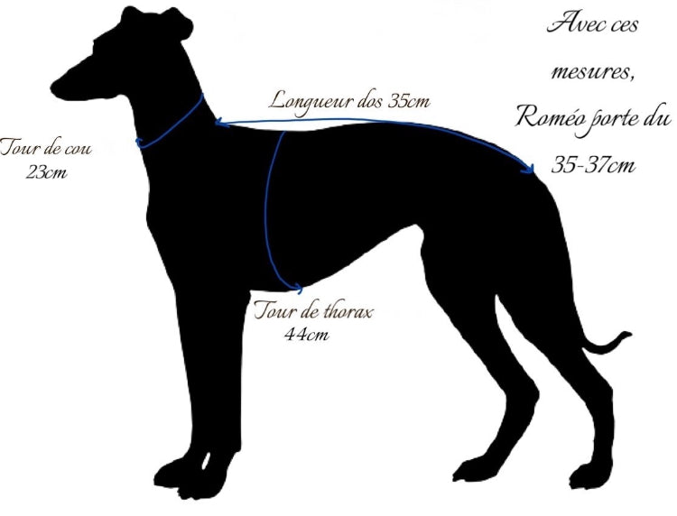 pull manteau vêtements lévrier