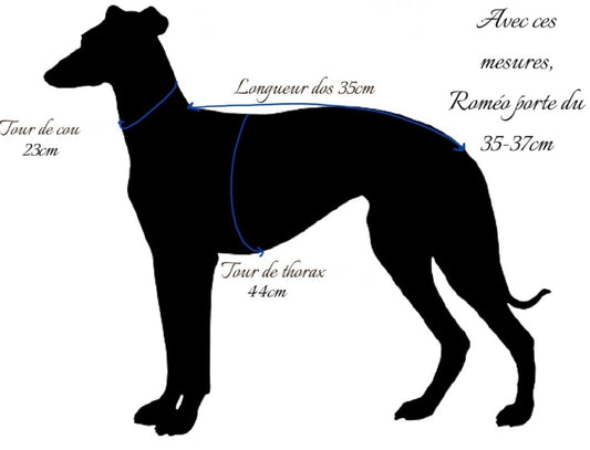 pull manteau vêtements lévrier