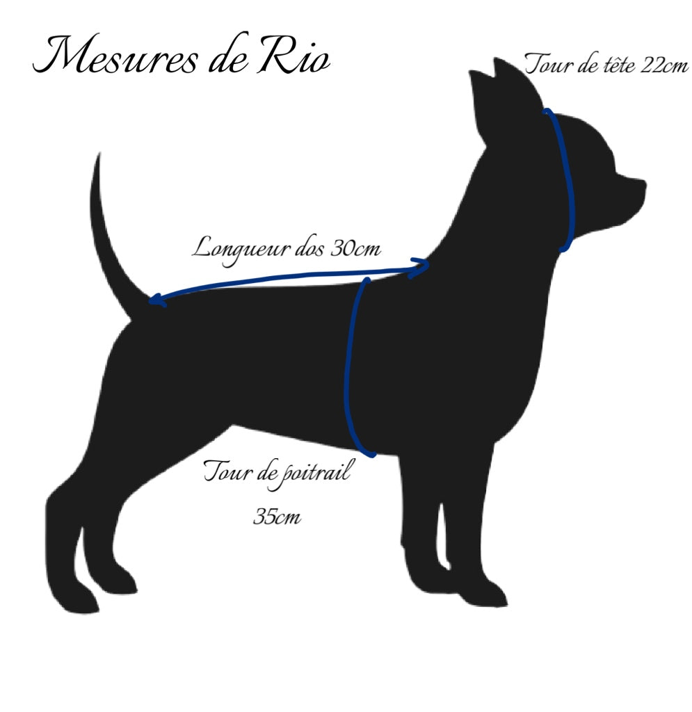 manteau chihuahua crânes mexicains