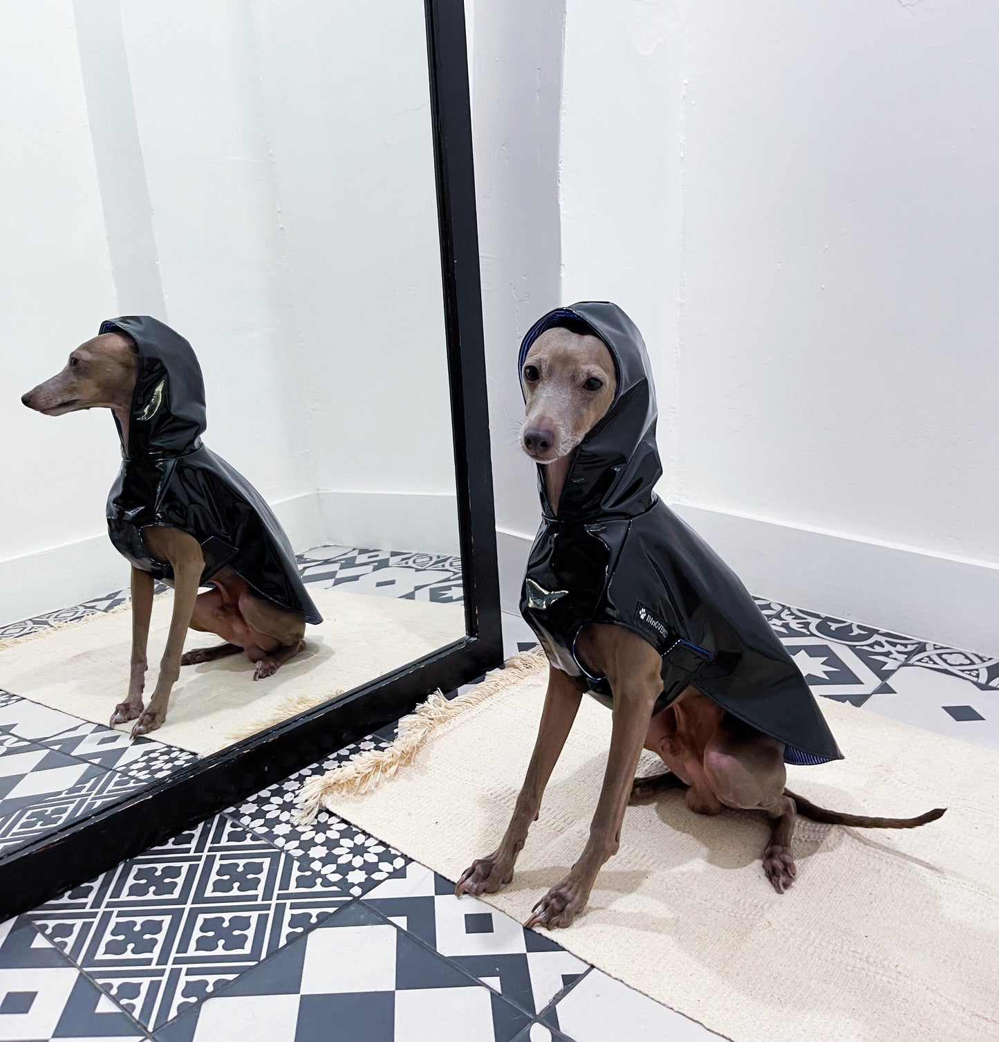 Imperméable lévrier innoverto.dog