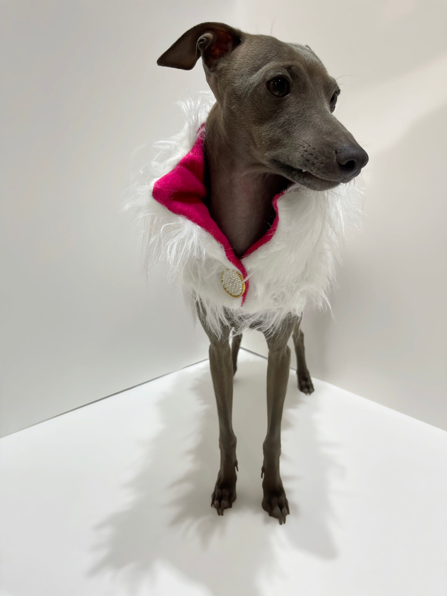 Manteau en fourrure lévrier innoverto.dog
