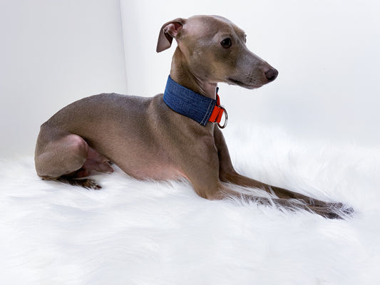 Collier en jean innoverto.dog