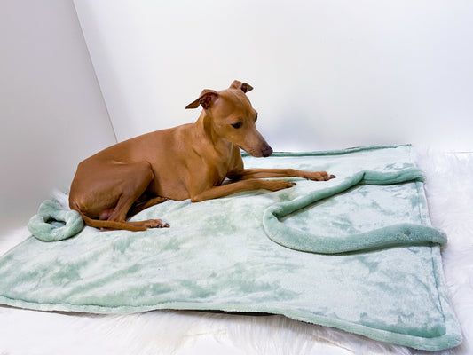 Sac couchage pour sortie