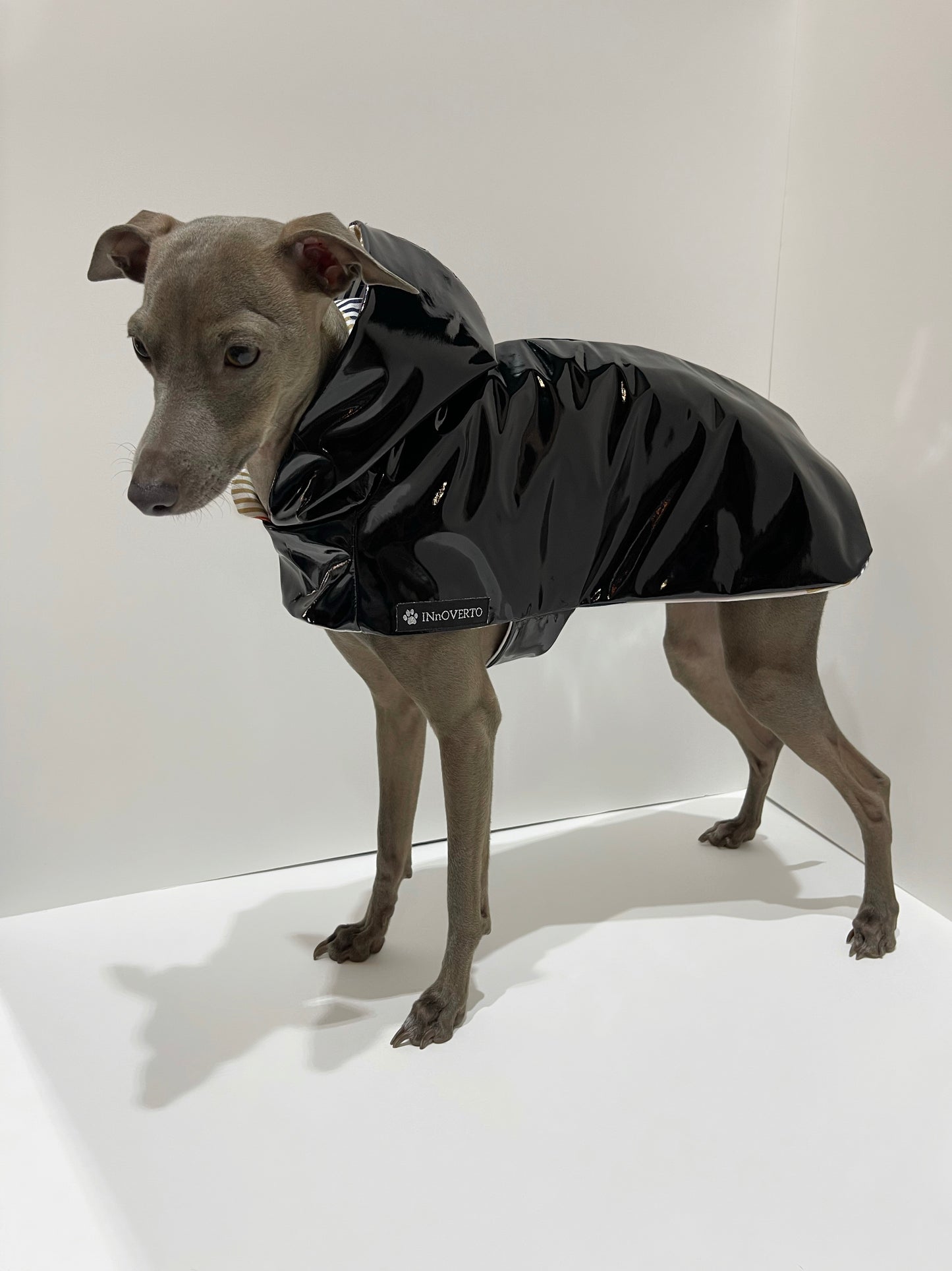 Imperméable lévrier