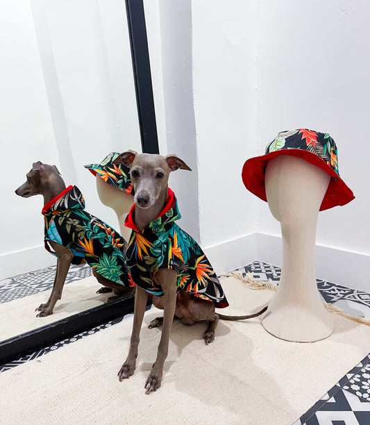 Coupe-vent déperlant PLI innoverto.dog & Bob assorti