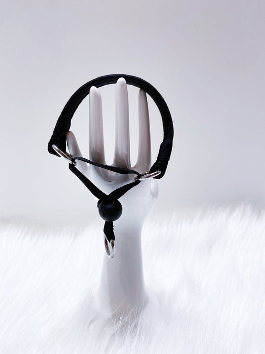 collier chiot petit lévrier italien