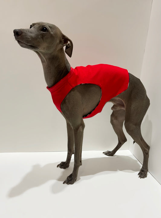 T-shirt petit lévrier italien