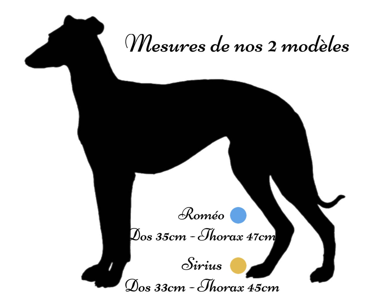 Mensurations des chiens modÚles : Roméo, dos 35 cm et tour de thorax 47 cm ; Sirius, dos 33 cm et tour de thorax 45 cm.