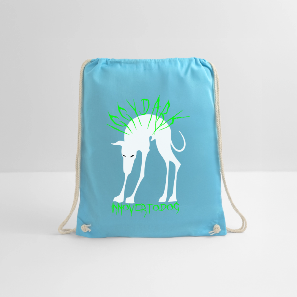 Sac de sport léger - aqua