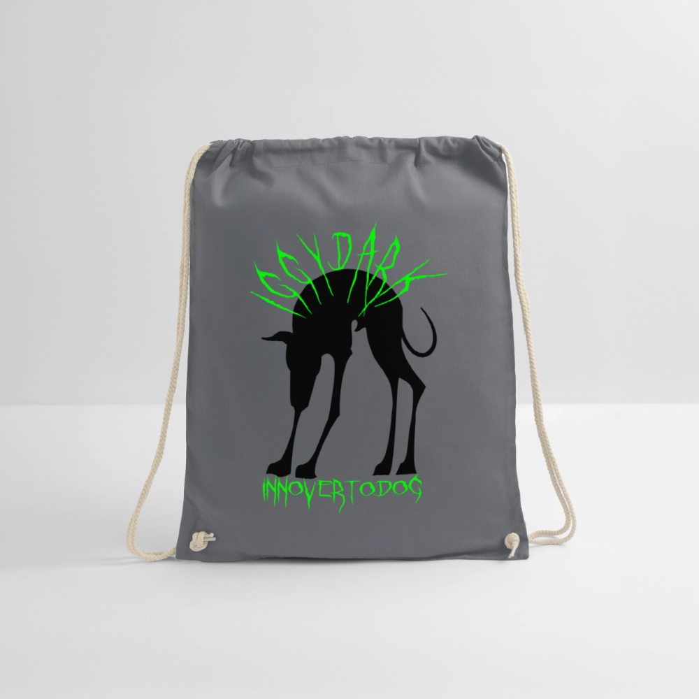 Sac de sport léger - gris