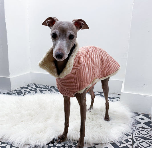 Manteau Velours Rose Doublé Fourrure Synthétique Beige Petit Lévrier Italien Innoverto.dog