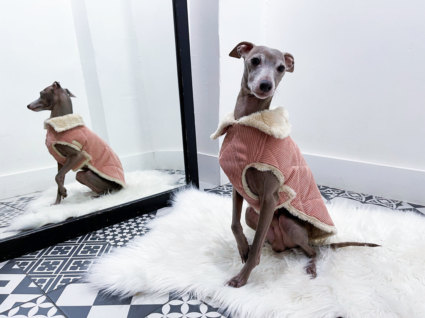 Manteau Velours Rose Doublé Fourrure Synthétique Beige Petit Lévrier Italien Innoverto.dog