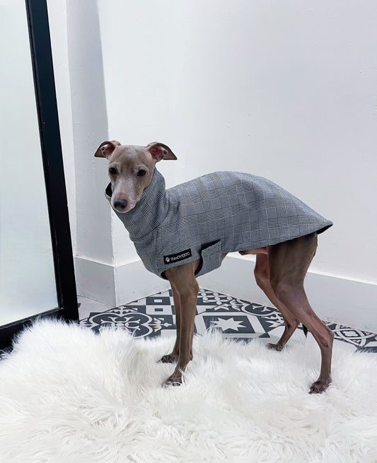 manteau petit lévrier italien innoverto.dog