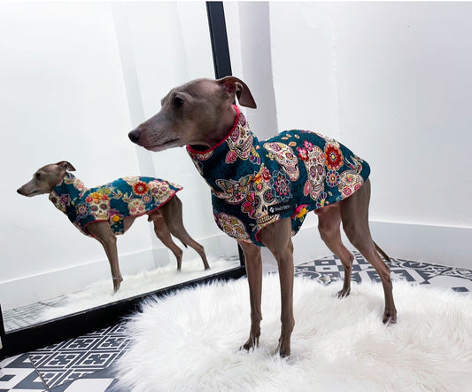 Roméo debout de profil, portant le manteau INnOVERTO Dog à motifs de crânes mexicains et col montant.