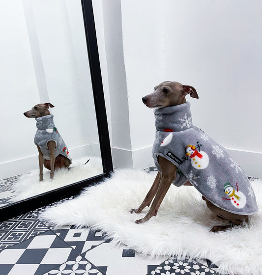 Roméo assis portant un pull de Noël en polaire grise à motifs de bonhommes de neige et flocons, INnOVERTO Dog.