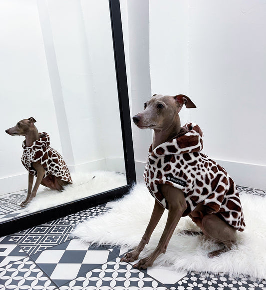Roméo assis de profil portant un pull réversible à motif girafe beige et marron, INnOVERTO Dog.