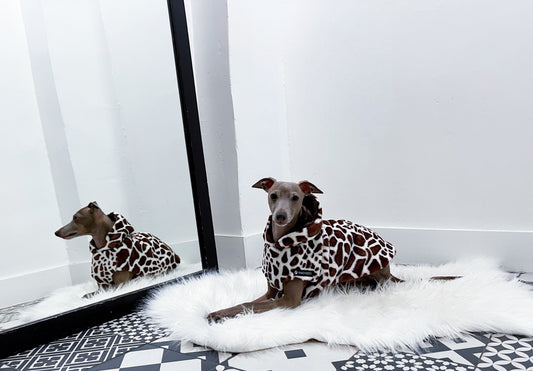 Roméo couché portant un pull réversible à capuche, motif girafe beige et marron, INnOVERTO Dog.