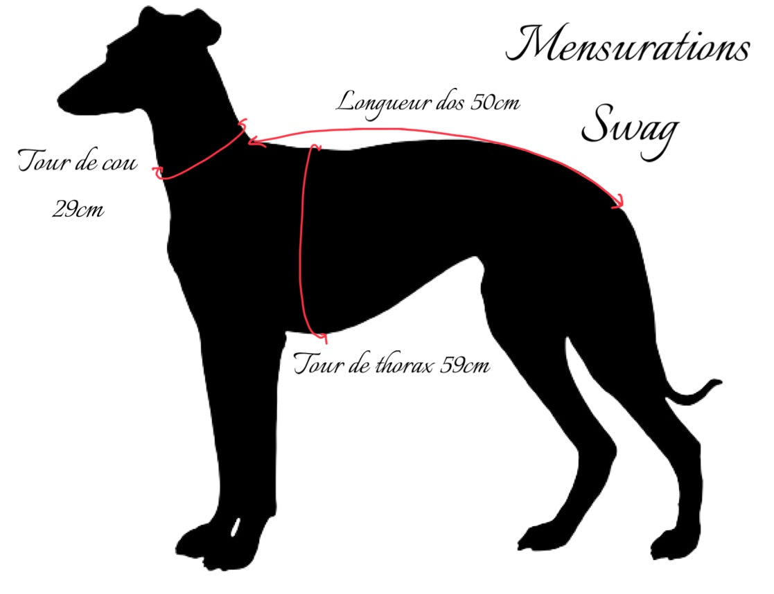 Manteau whippet innoverto.dog