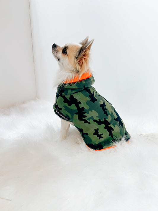 pull camouflage chihuahua 