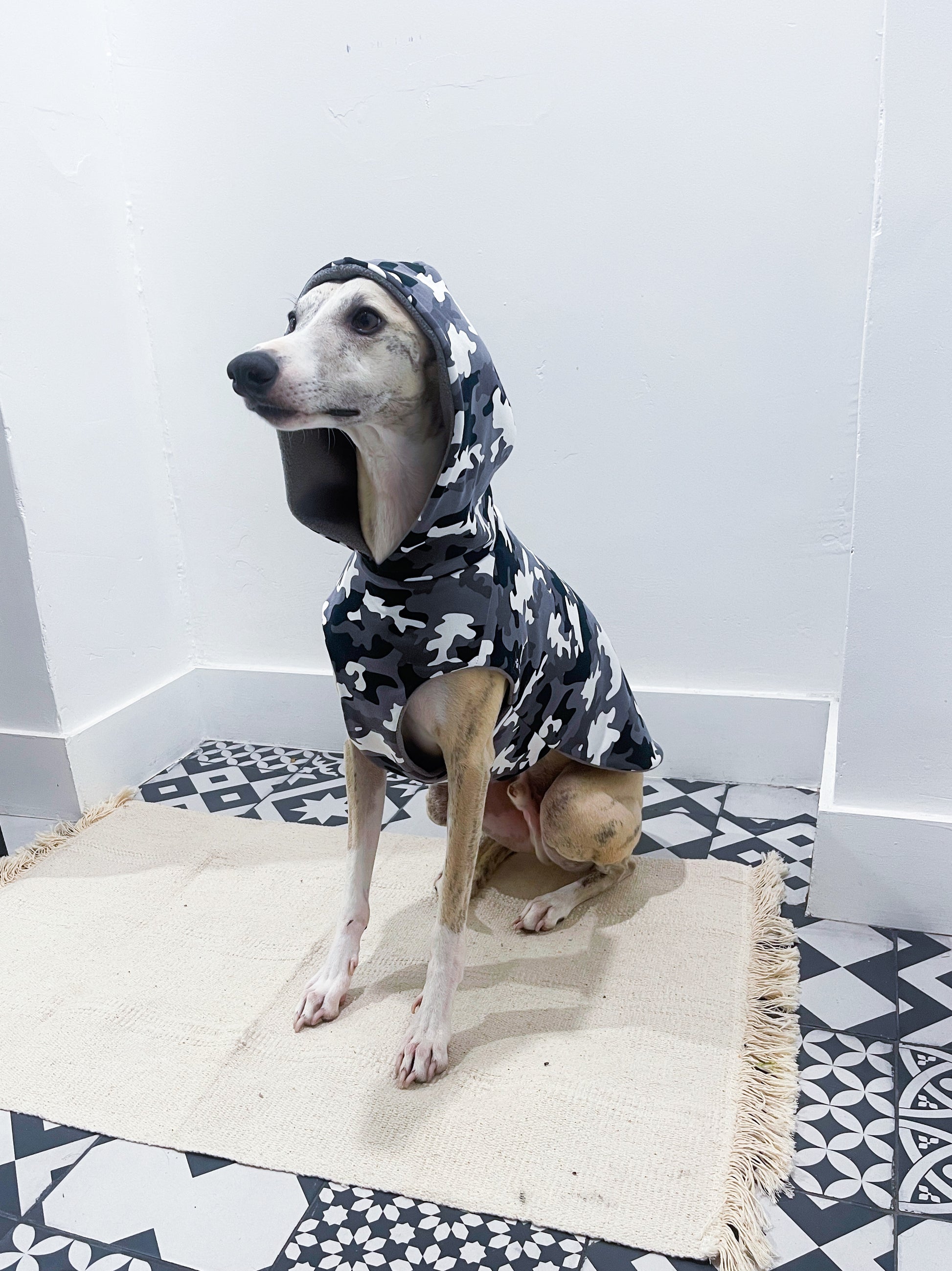 Pull camouflage gris whippet innoverto.dog