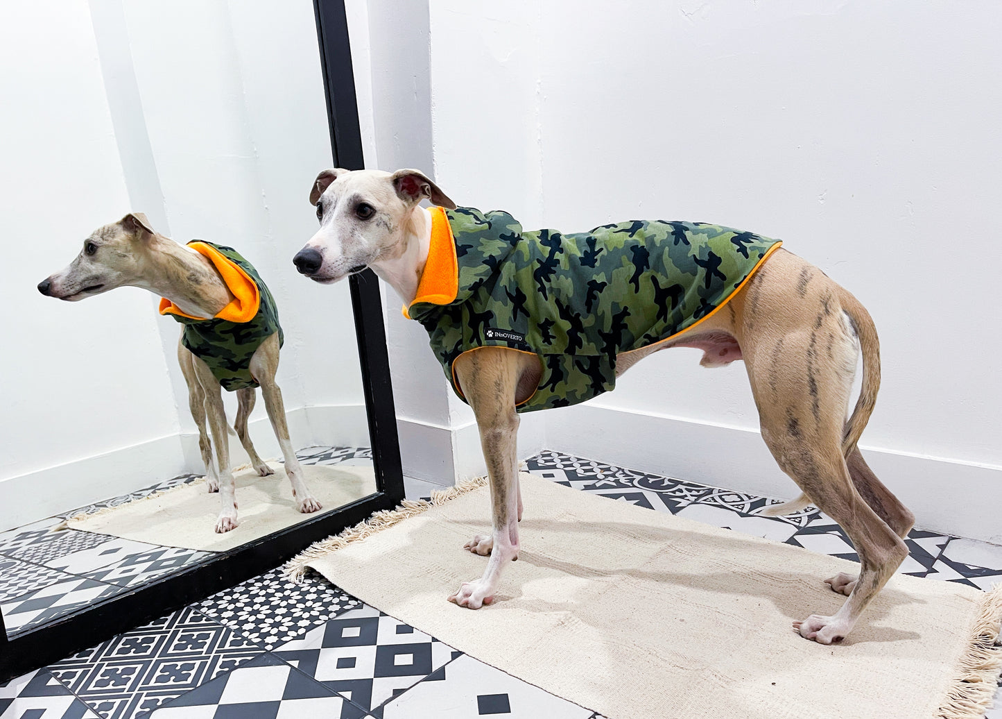 Pull camouflage kaki whippet innoverto.dog