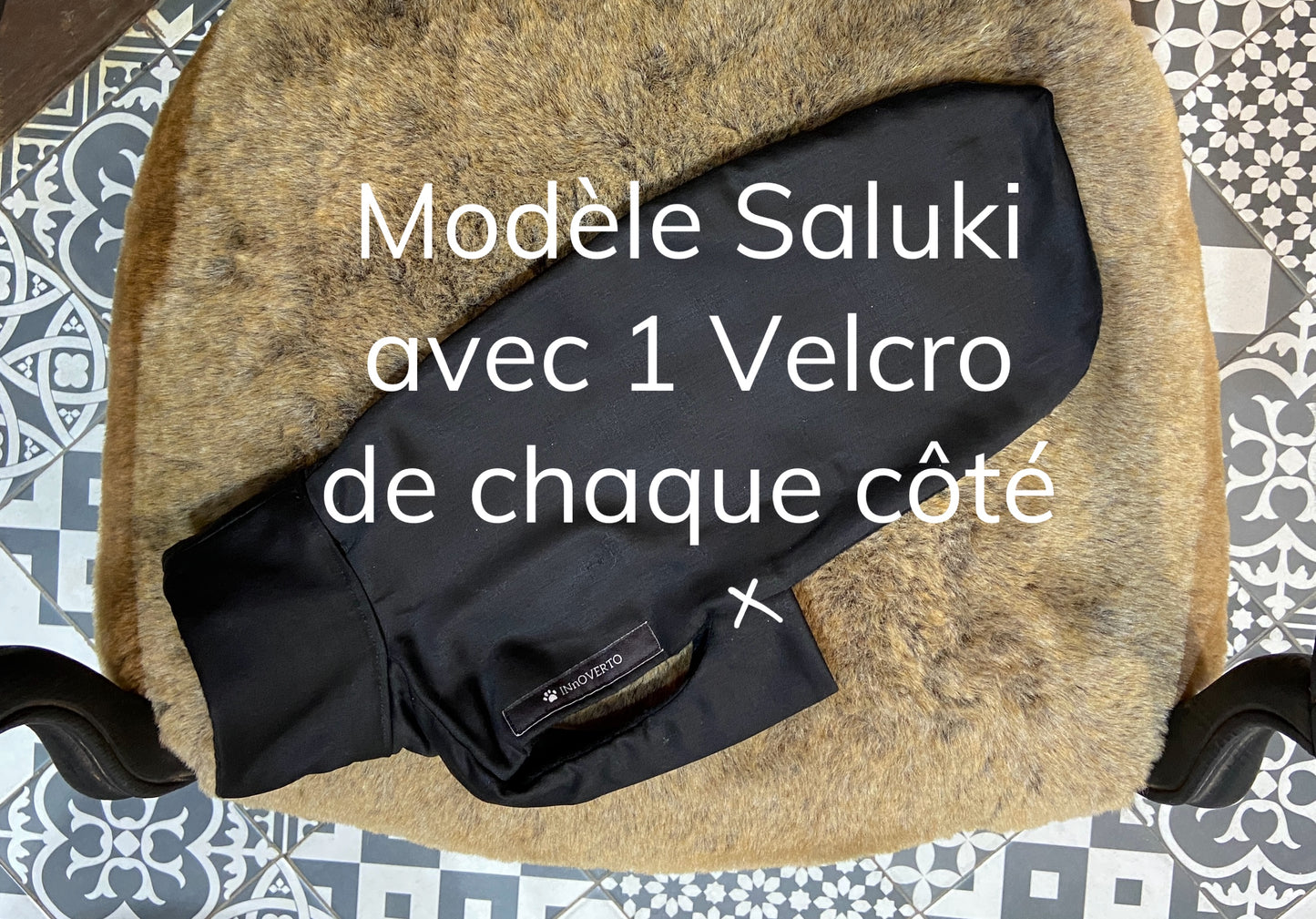 pull manteau vêtements lévrier saluki