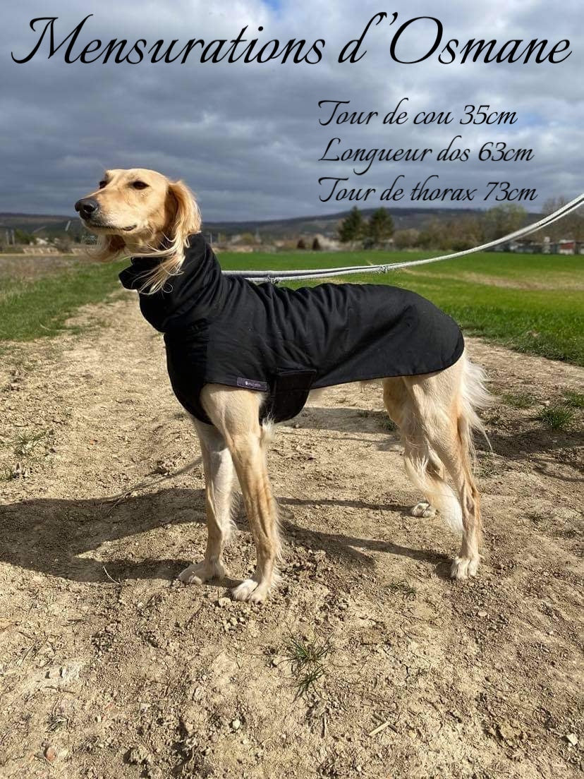 pull manteau vêtements lévrier saluki