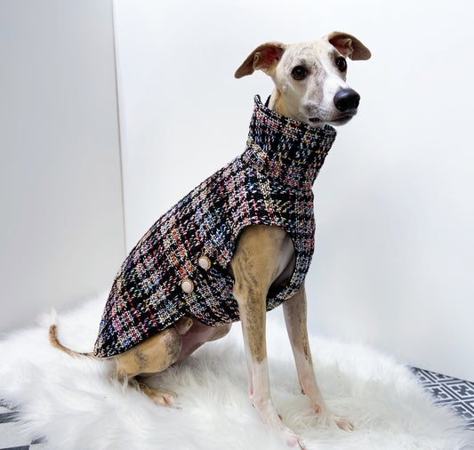 Manteau en tweed whippet innoverto.dog