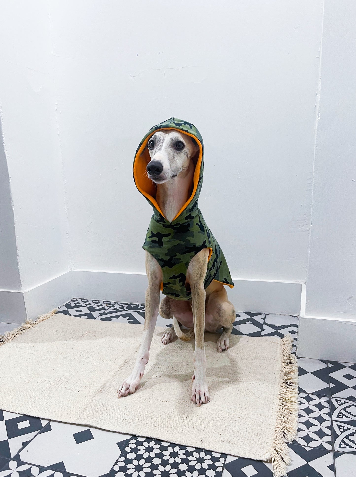 Pull camouflage kaki whippet innoverto.dog