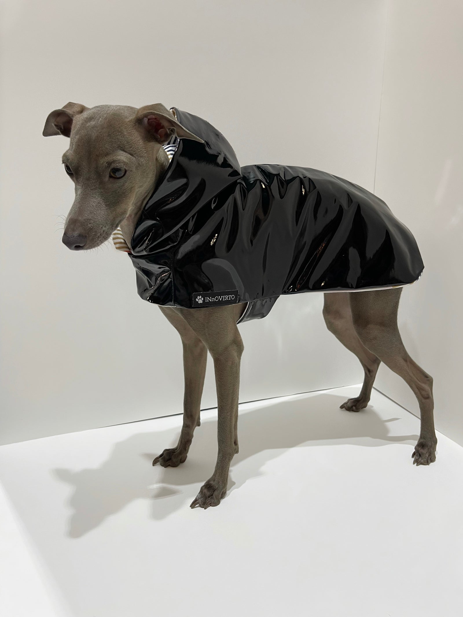 Imperméable lévrier
